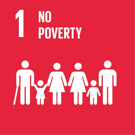 NO POVERTY Logo