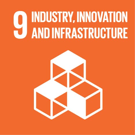 INDUSTRY, INNOVATION AND INFRASTRUCTURE Logo
