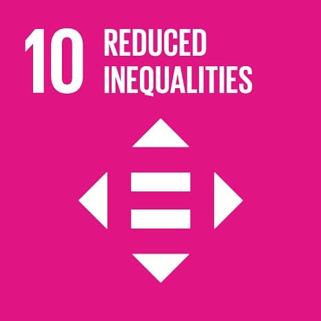 REDUCED INEQUALITIES Logo