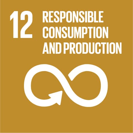 RESPONSIBLE CONSUMPTION AND PRODUCTION Logo