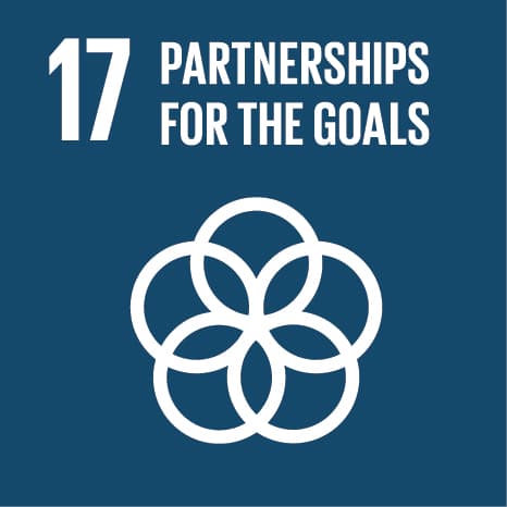 PARTNERSHIPS FOR THE GOALS Logo
